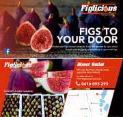 Figlicious